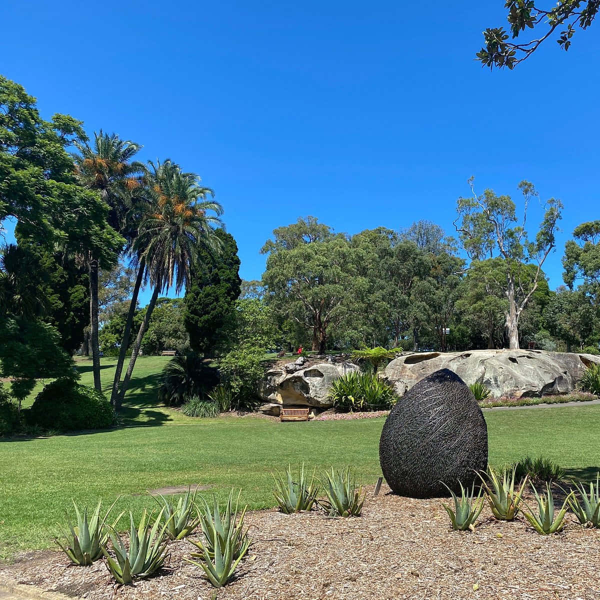 Royal Botanic Garden Sydney Landscape Wallpaper