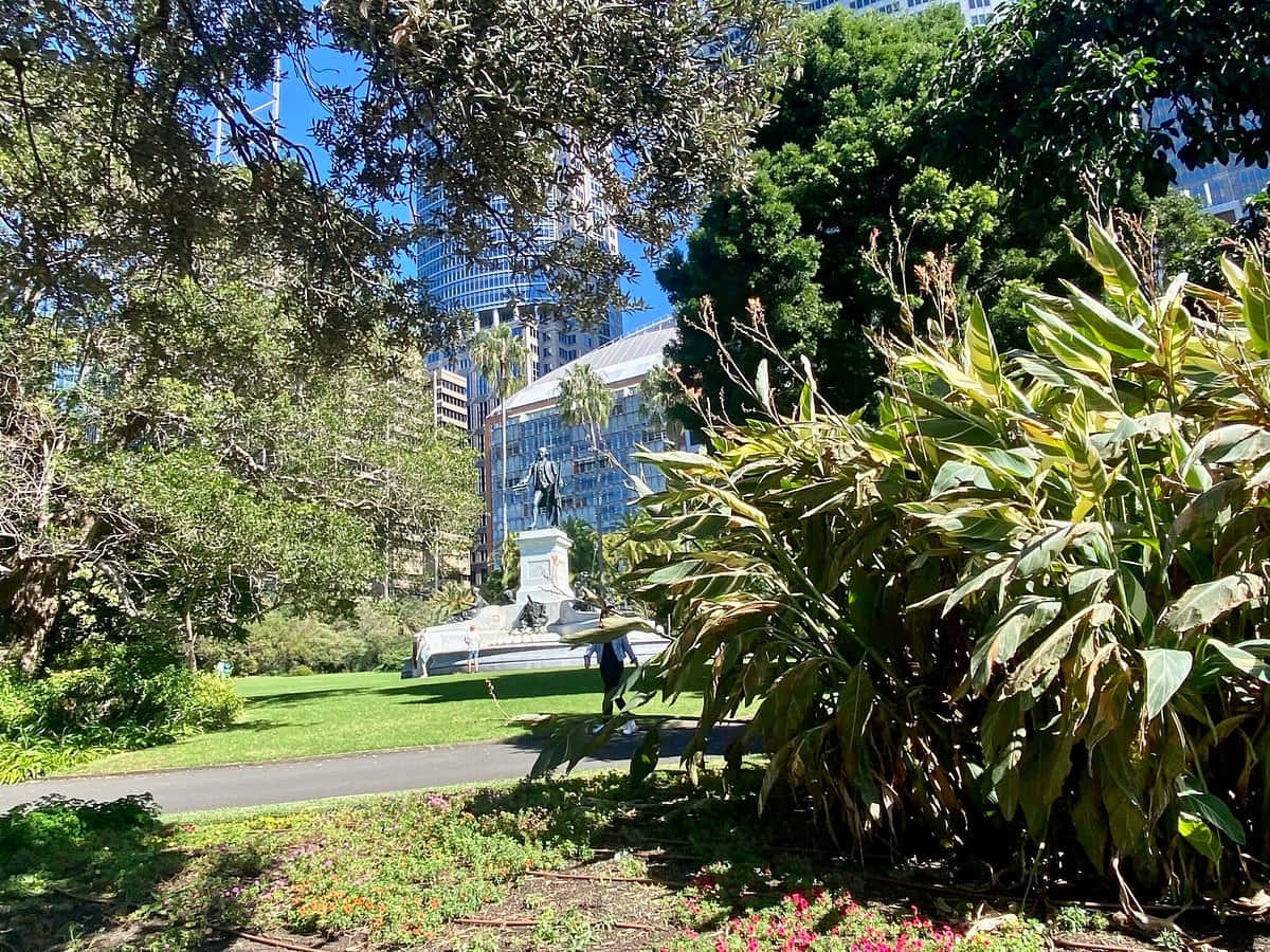 Royal Botanic Garden Sydney Urban Oasis Wallpaper