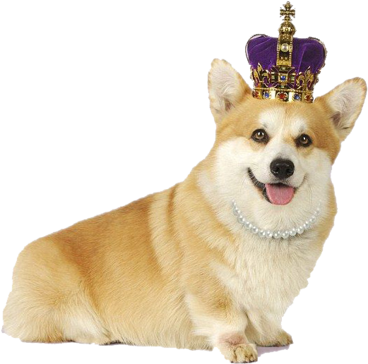 Royal Corgiwith Crownand Pearls.png PNG