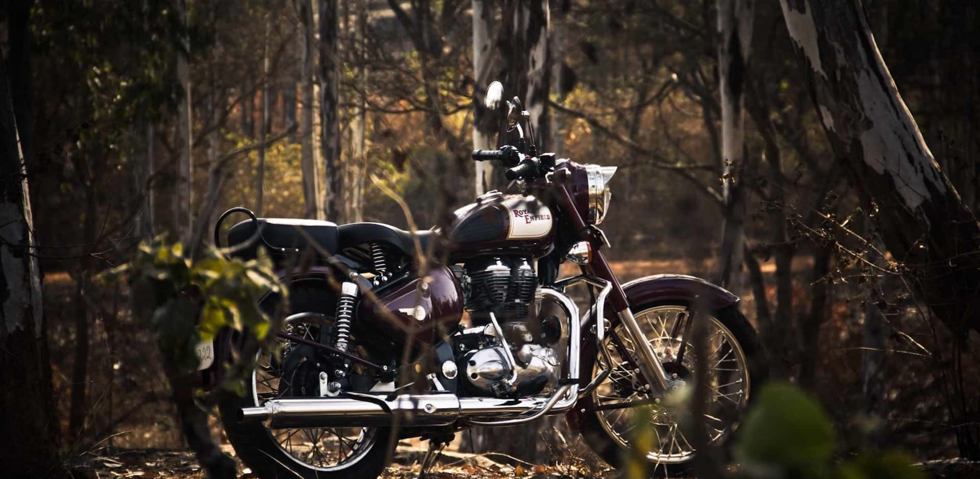 Royal Enfield Pictures Bullet 350
