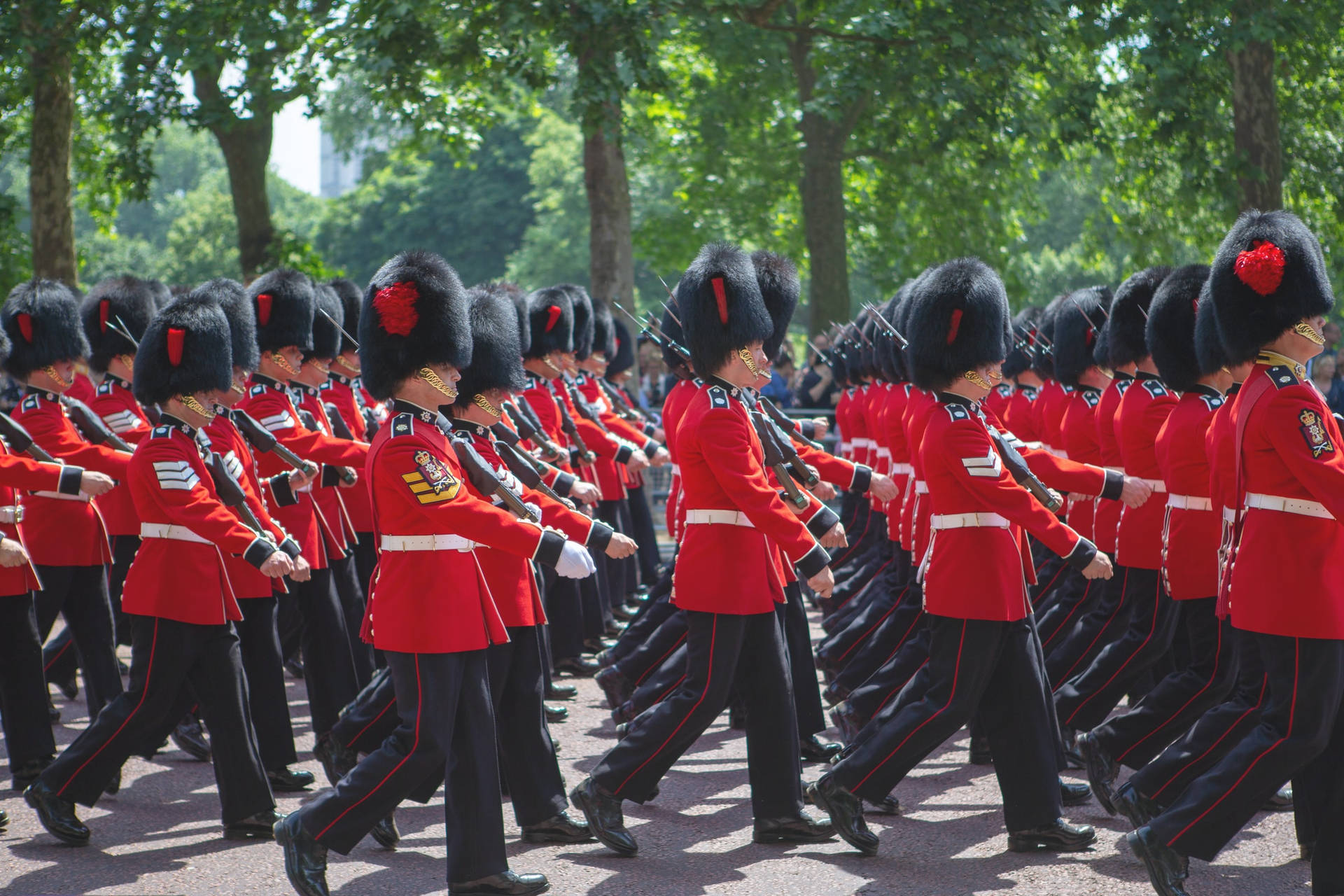 Royal Guards March England Picture