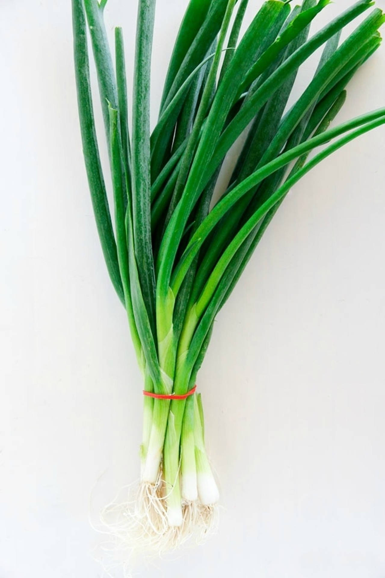 Rubber Band Bunched Green Onion Sprigs Wallpaper