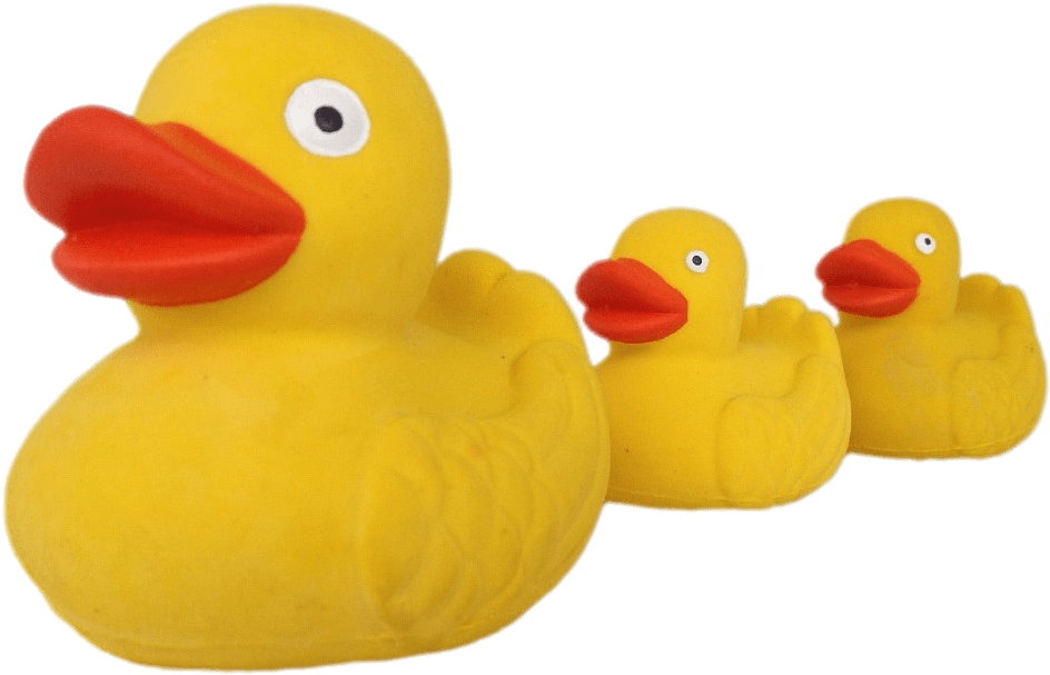 Rubber Duck Family Row PNG