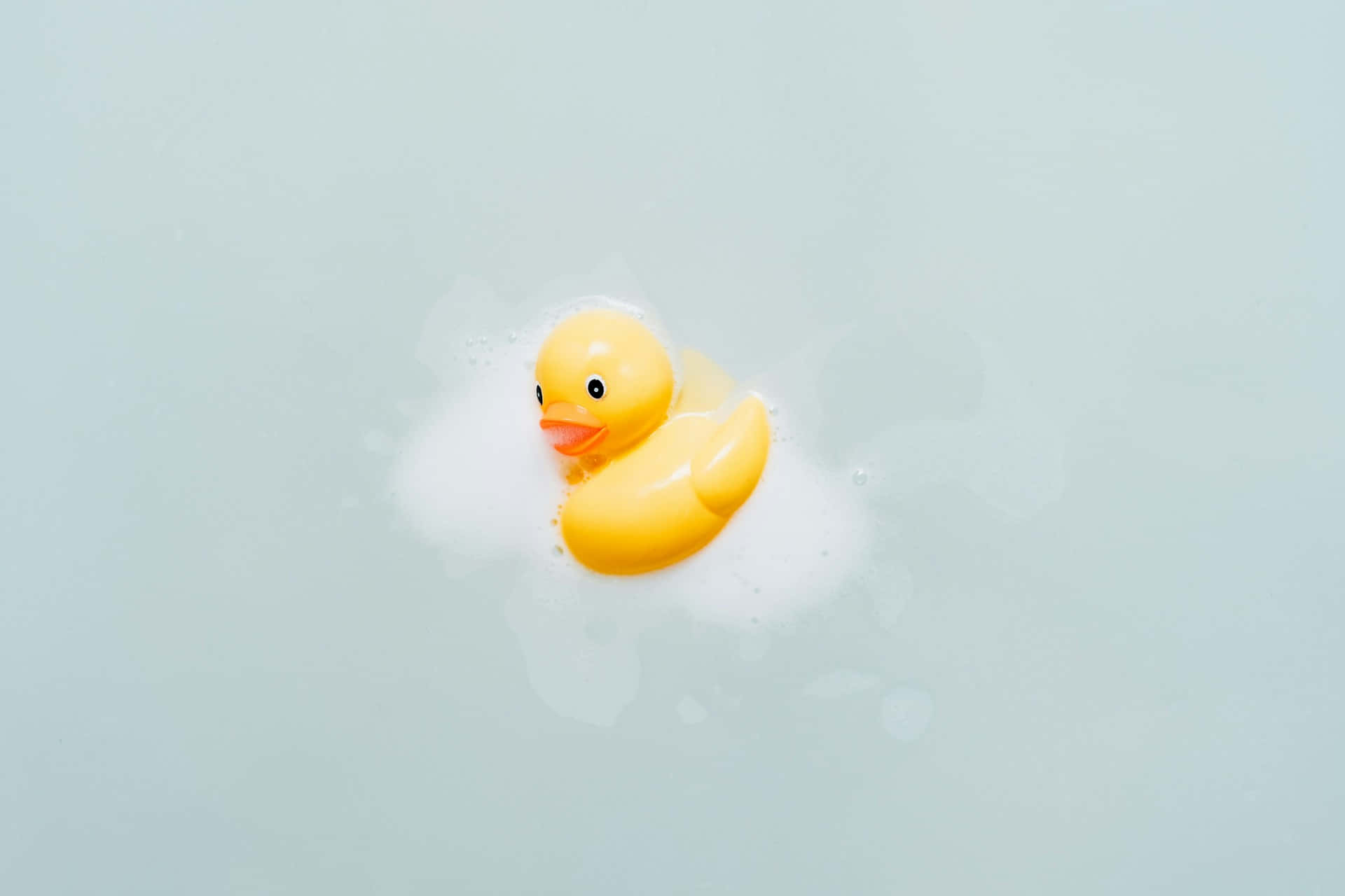 Rubber Duck Floatingin Water.jpg Wallpaper