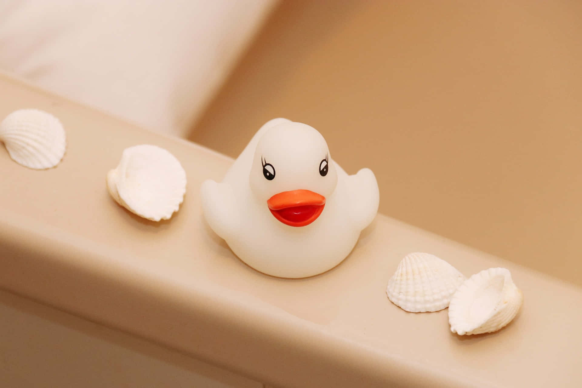 Rubber Duckand Seashells Bath Time Wallpaper