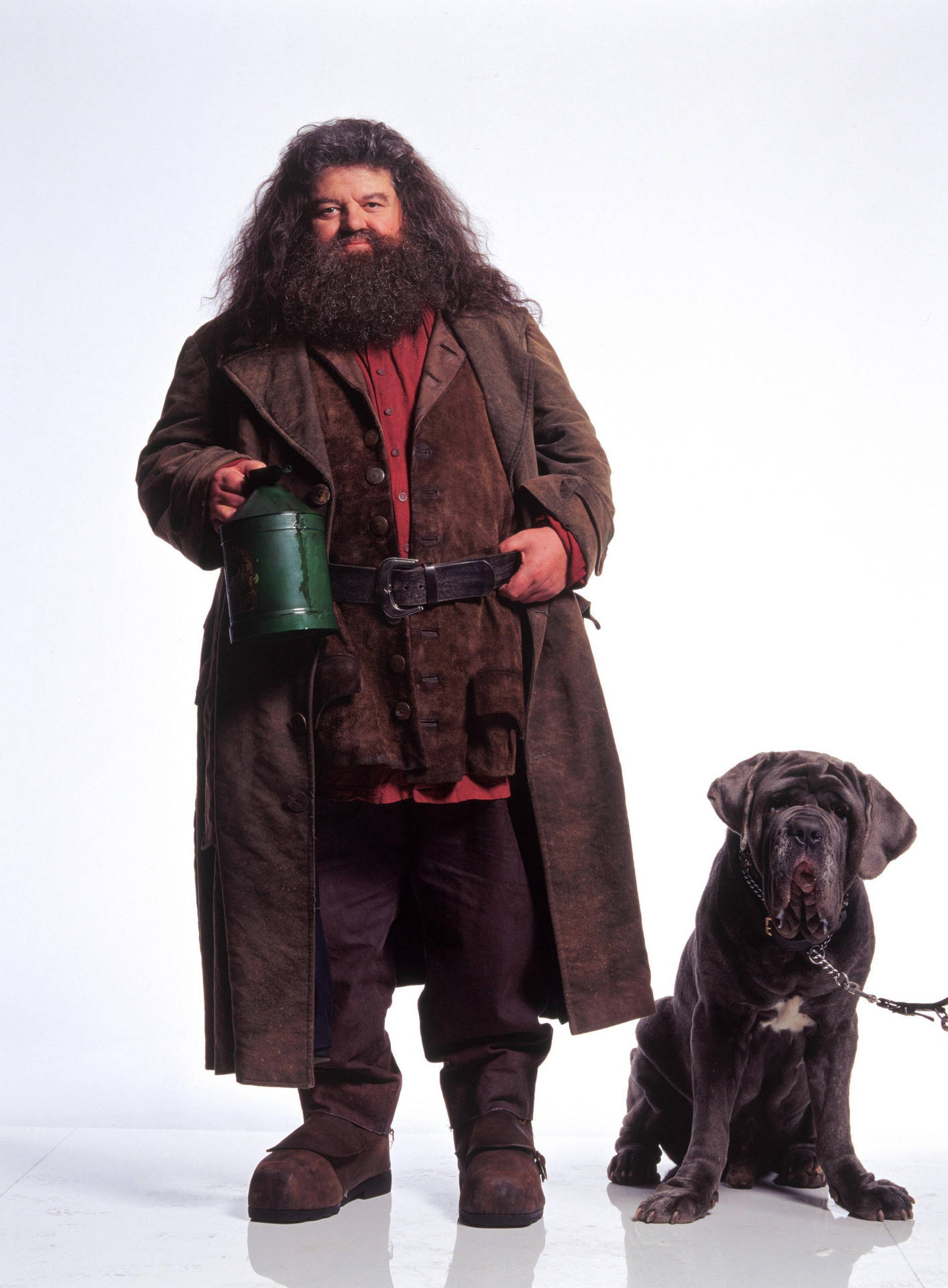 Rubeus Hagrid And Fang
