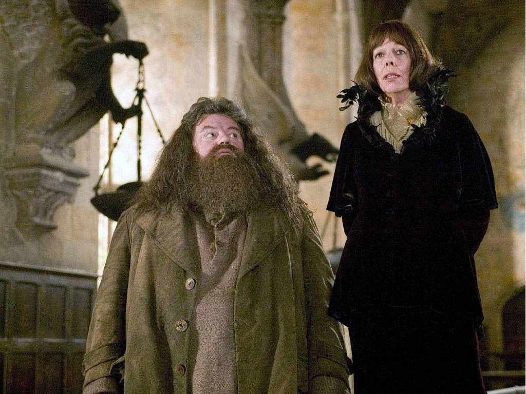 Rubeus Hagrid And Olympe Maxime