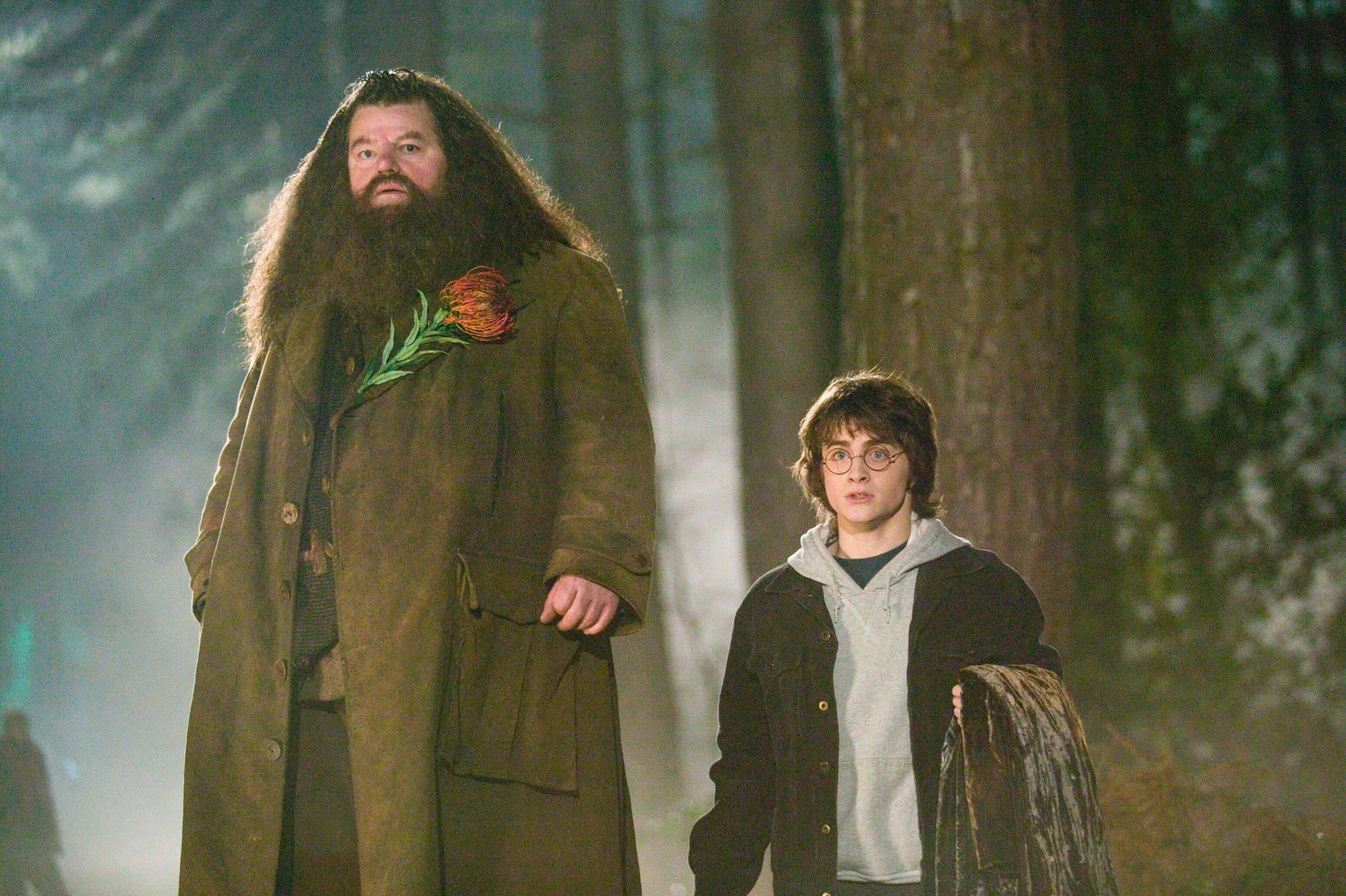 Rubeus Hagrid And Young Harry Potter Wallpaper