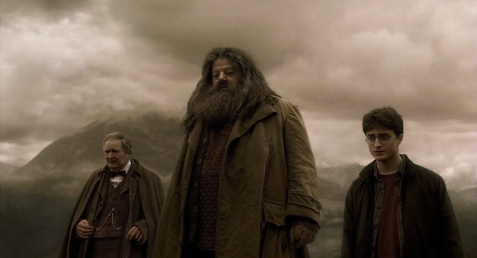 Rubeus Hagrid At Aragog's Funeral