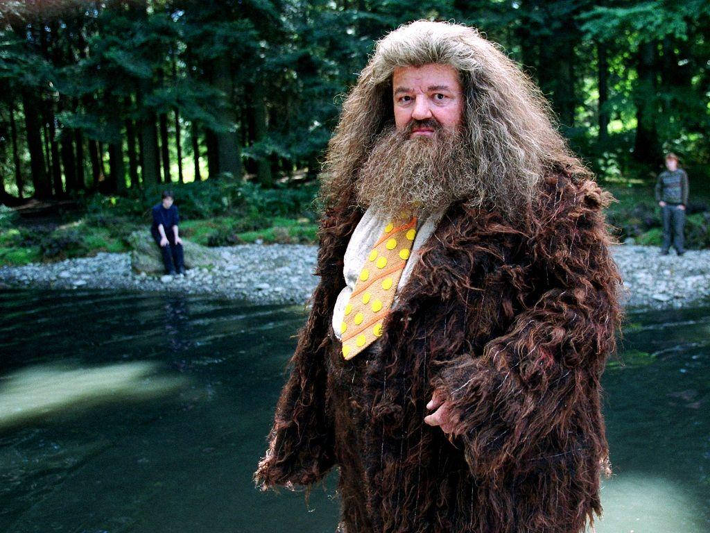 Rubeus Hagrid Character