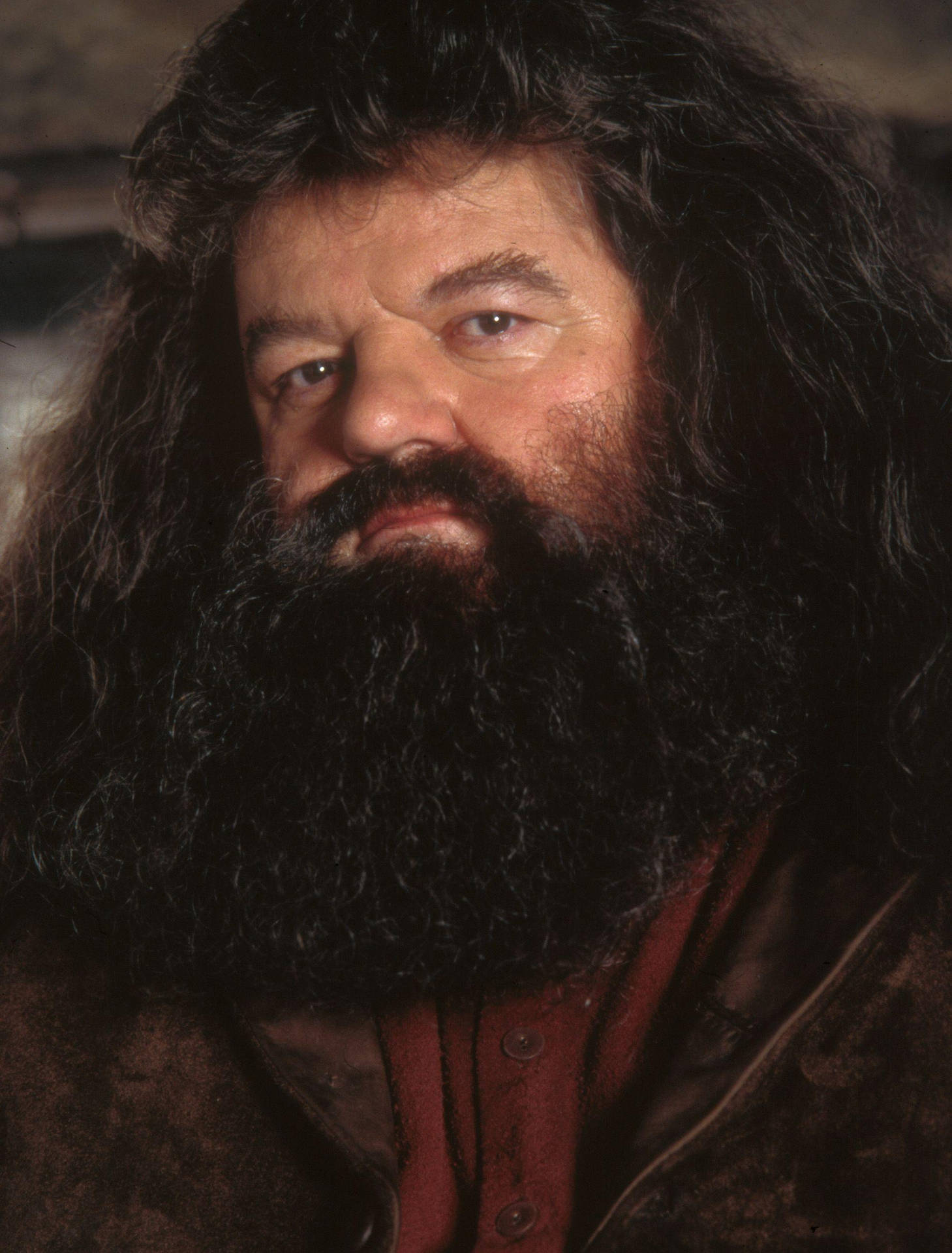 Rubeus Hagrid Close-Up Shot Wallpaper