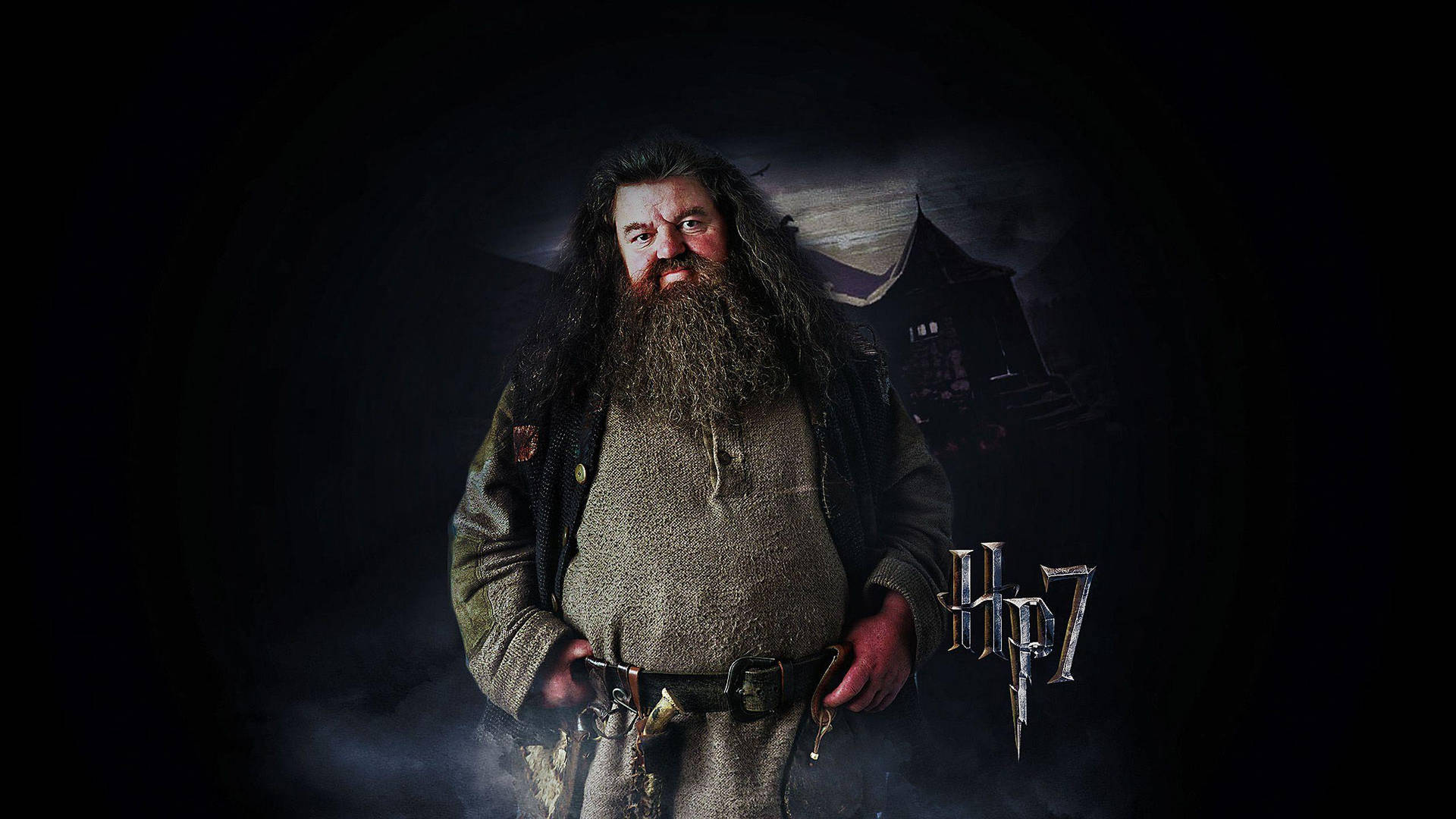 Rubeus Hagrid Hp 7