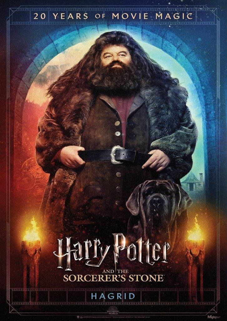 Rubeus Hagrid Film Magic Wallpaper