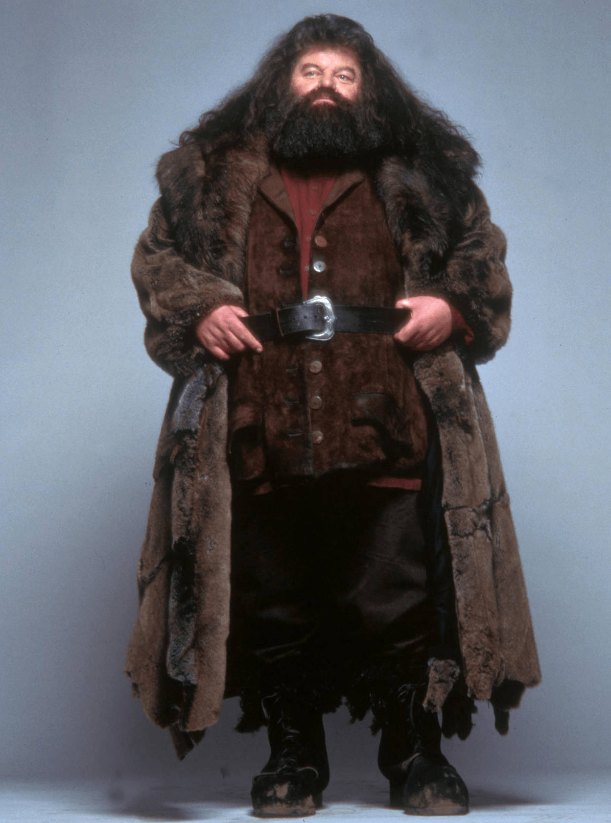 Rubeus Hagrid Portrait