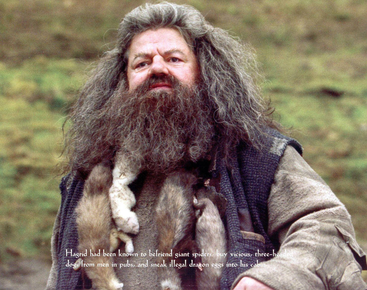 Rubeus Hagrid With Description