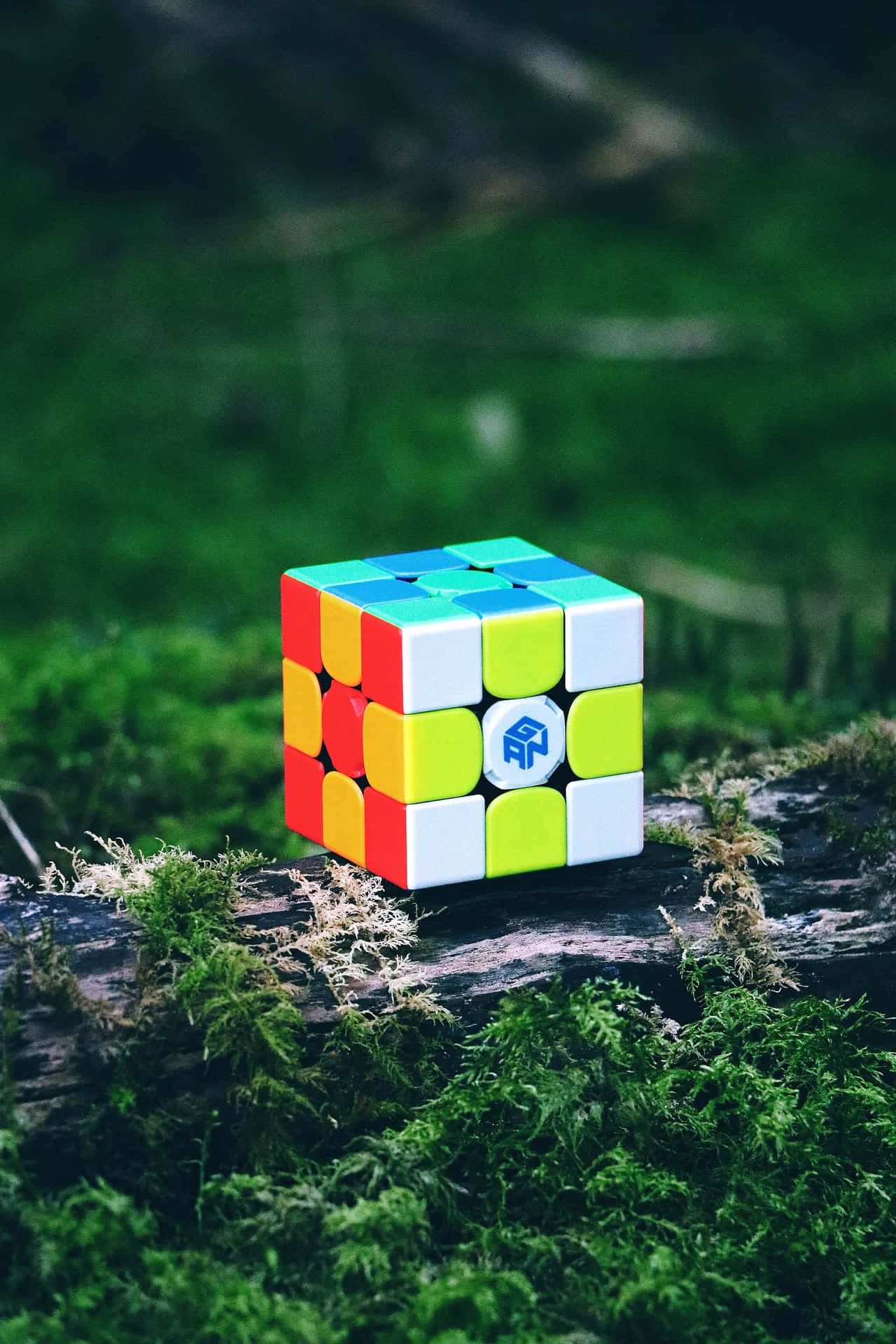 Rubiks Cube Nature Setting Wallpaper