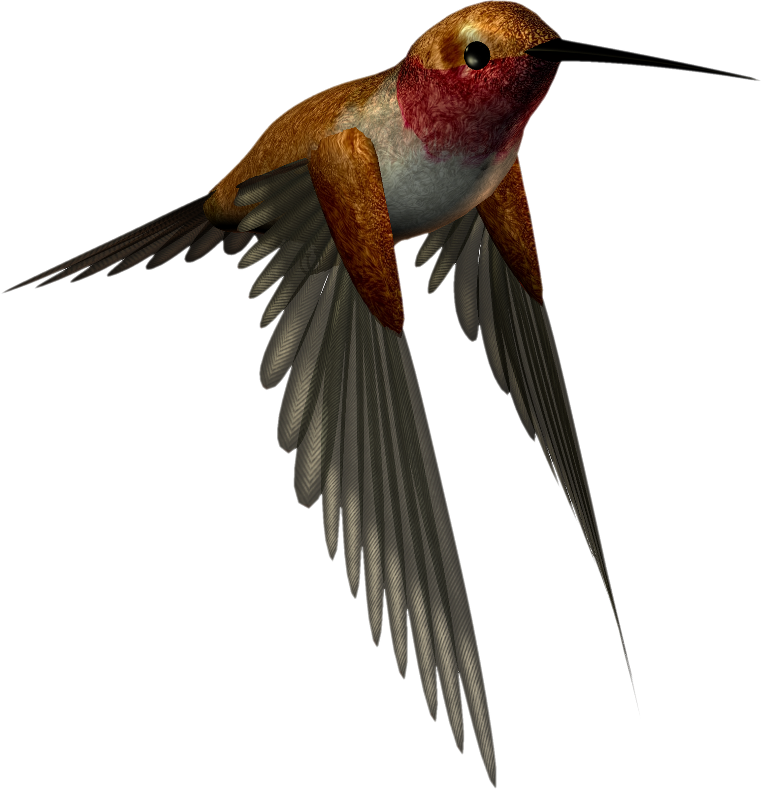 Ruby Throated Hummingbird Illustration.png PNG