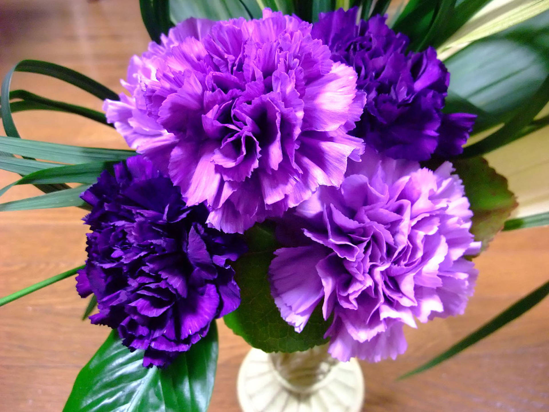 Ruffled Purple Carnations Wallpaper