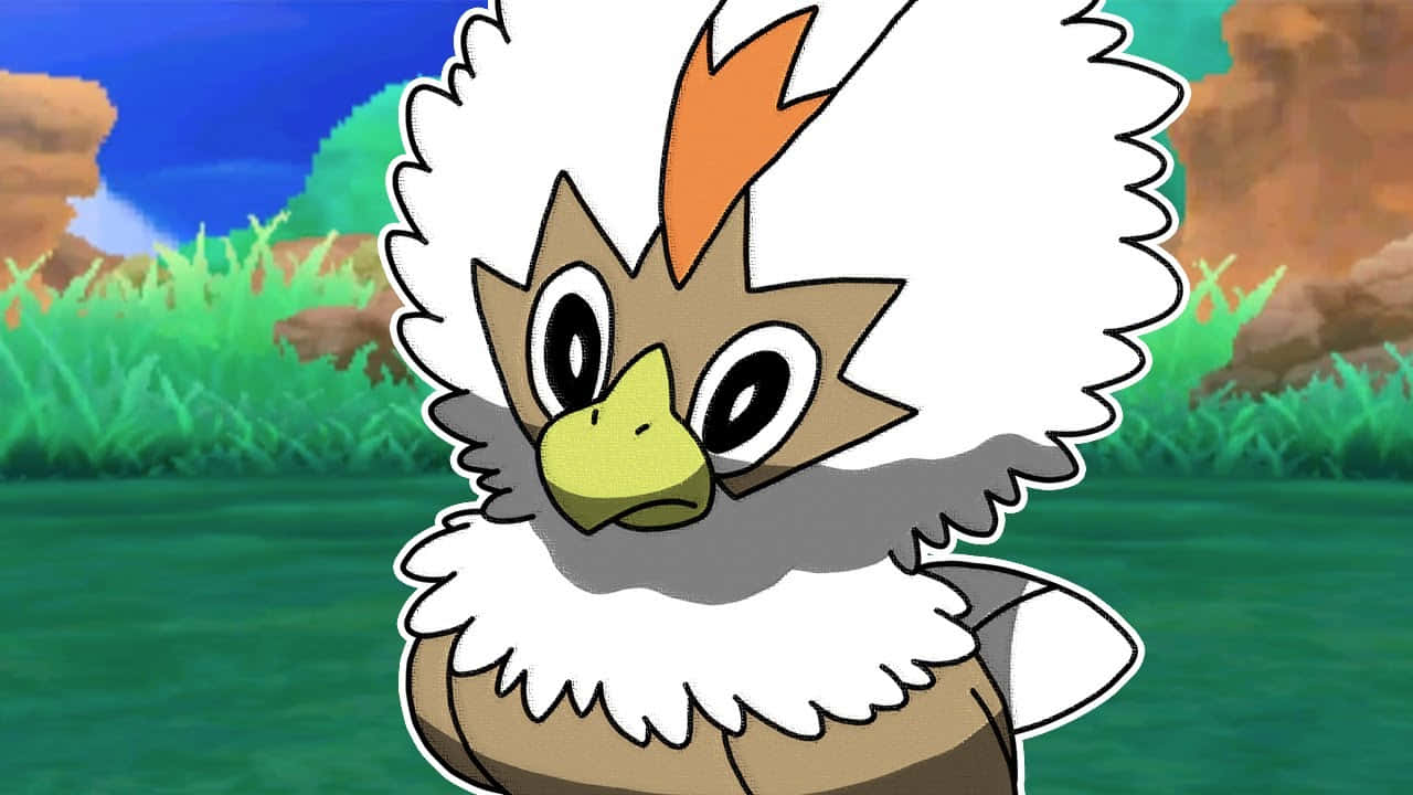 Rufflet With Grass In Background Wallpaper