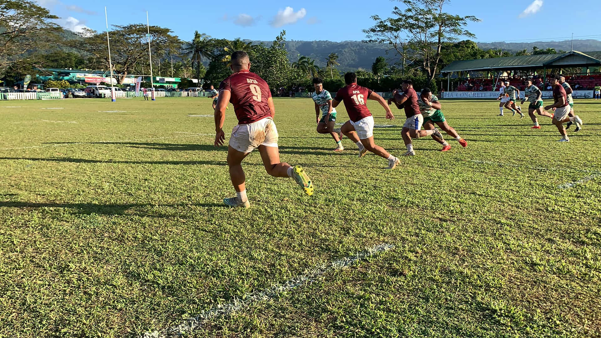 Apia Rugby Team in Action Wallpaper