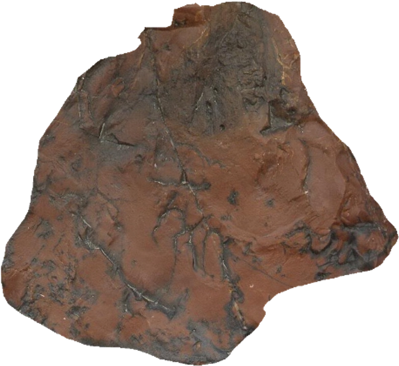 Rugged Asteroid Surface Texture PNG