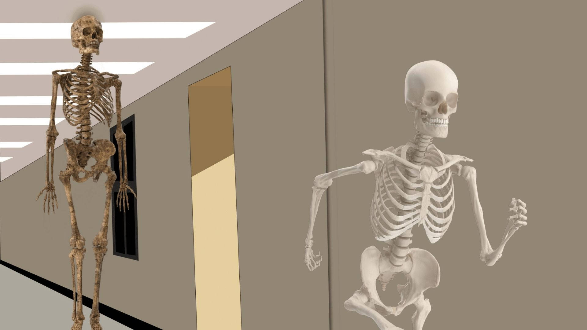 Running Away Skeleton Meme Wallpaper