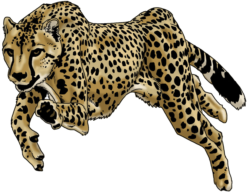 Running Cheetah Illustration PNG