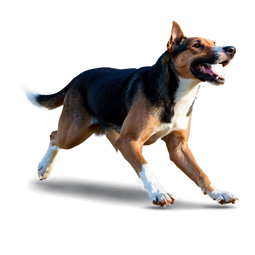 Running Dog Png 04292024 PNG