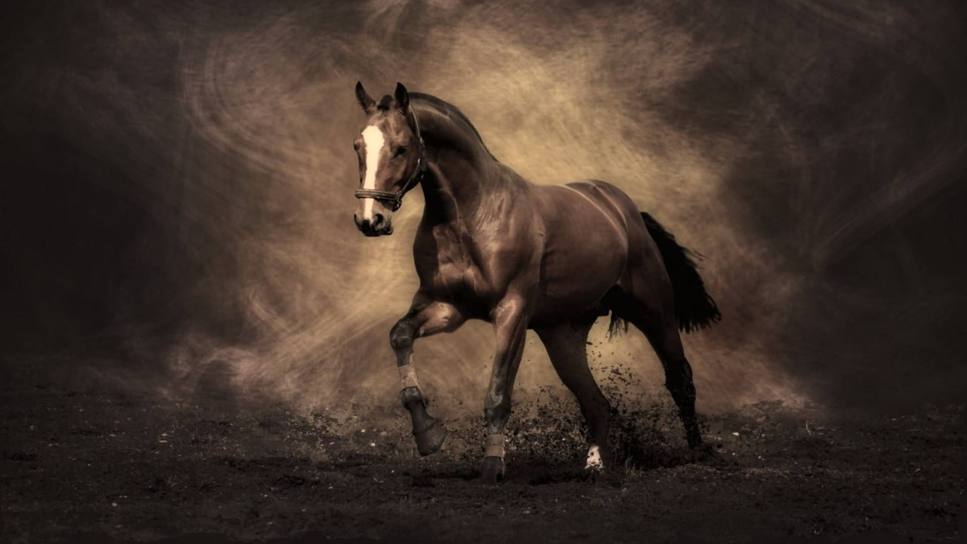 Running Horse On Dirt Wallpaper