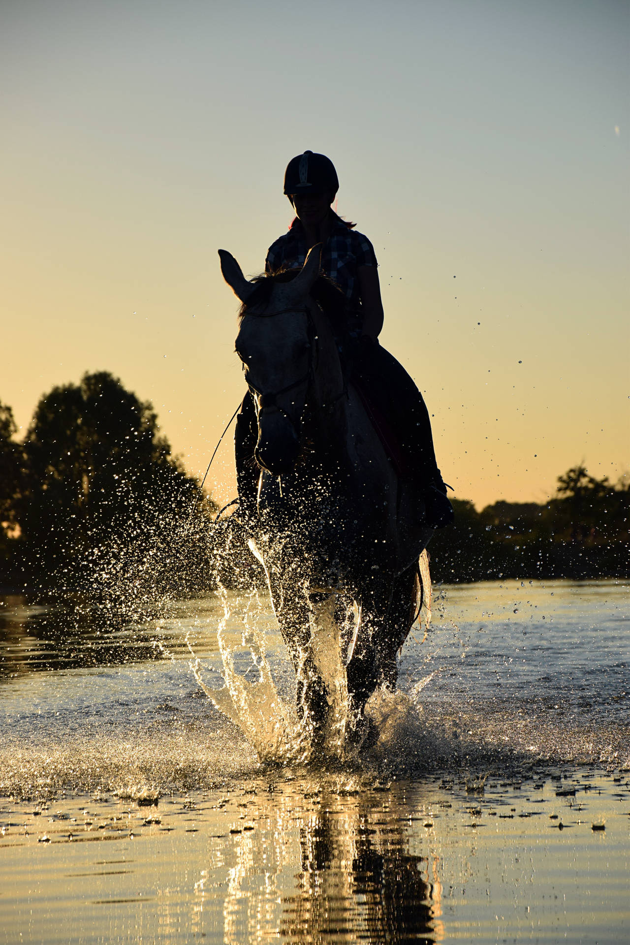 Running In Water Horse Iphone Wallpaper