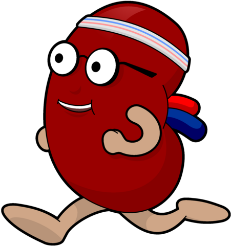 Running Kidney Cartoon Character PNG