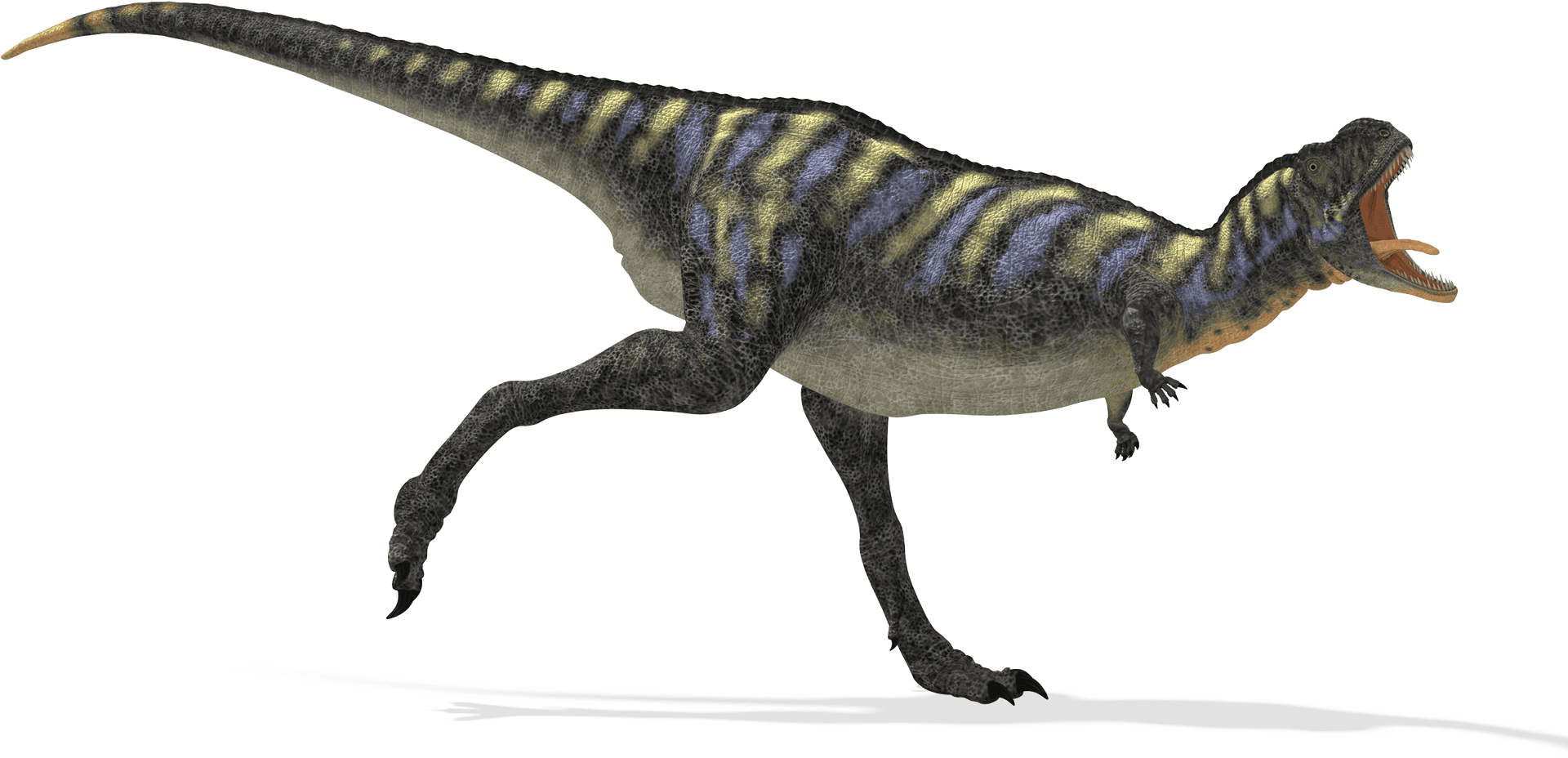 Running Theropod Dinosaur Illustration PNG