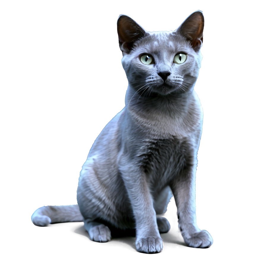 Russian Blue Cat Png Ggs PNG