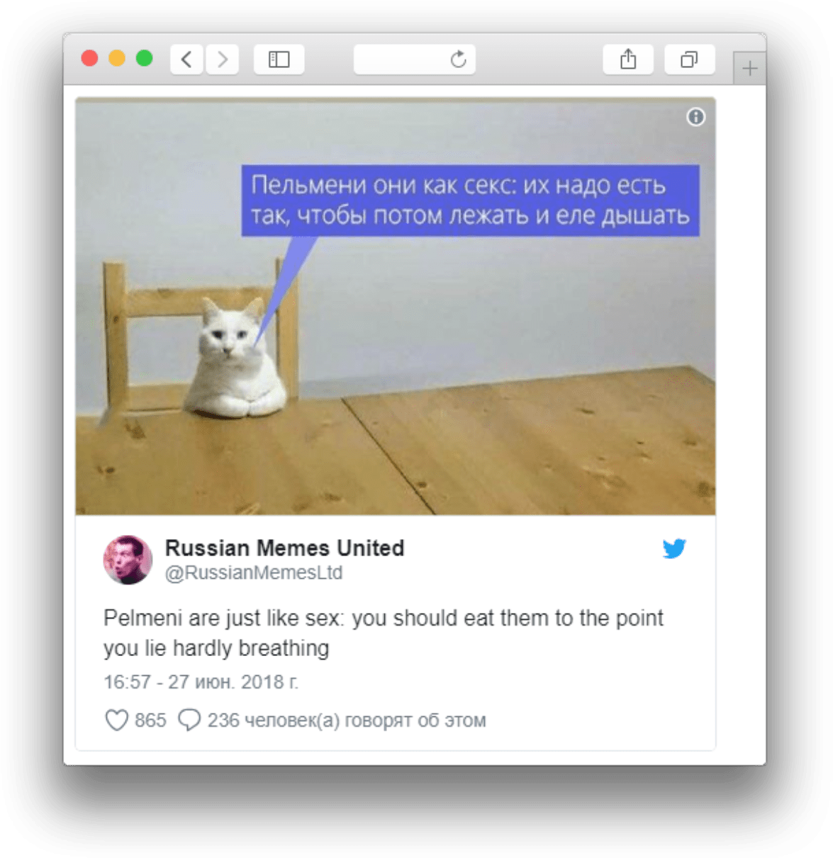 Russian Cat Meme Pelmeni Comparison PNG