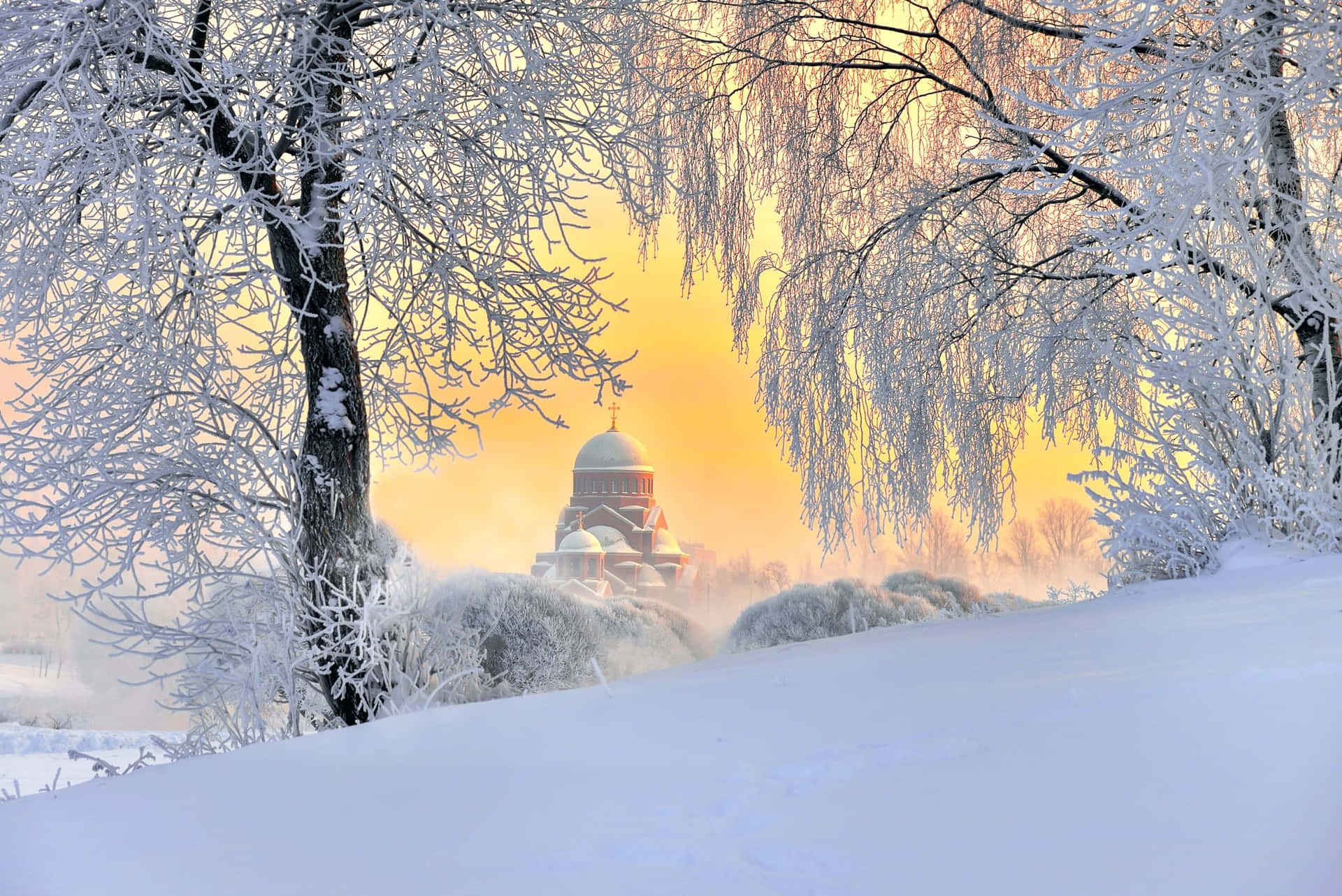 Unbosque Cubierto De Nieve Con Árboles Y Una Iglesia Fondo de pantalla