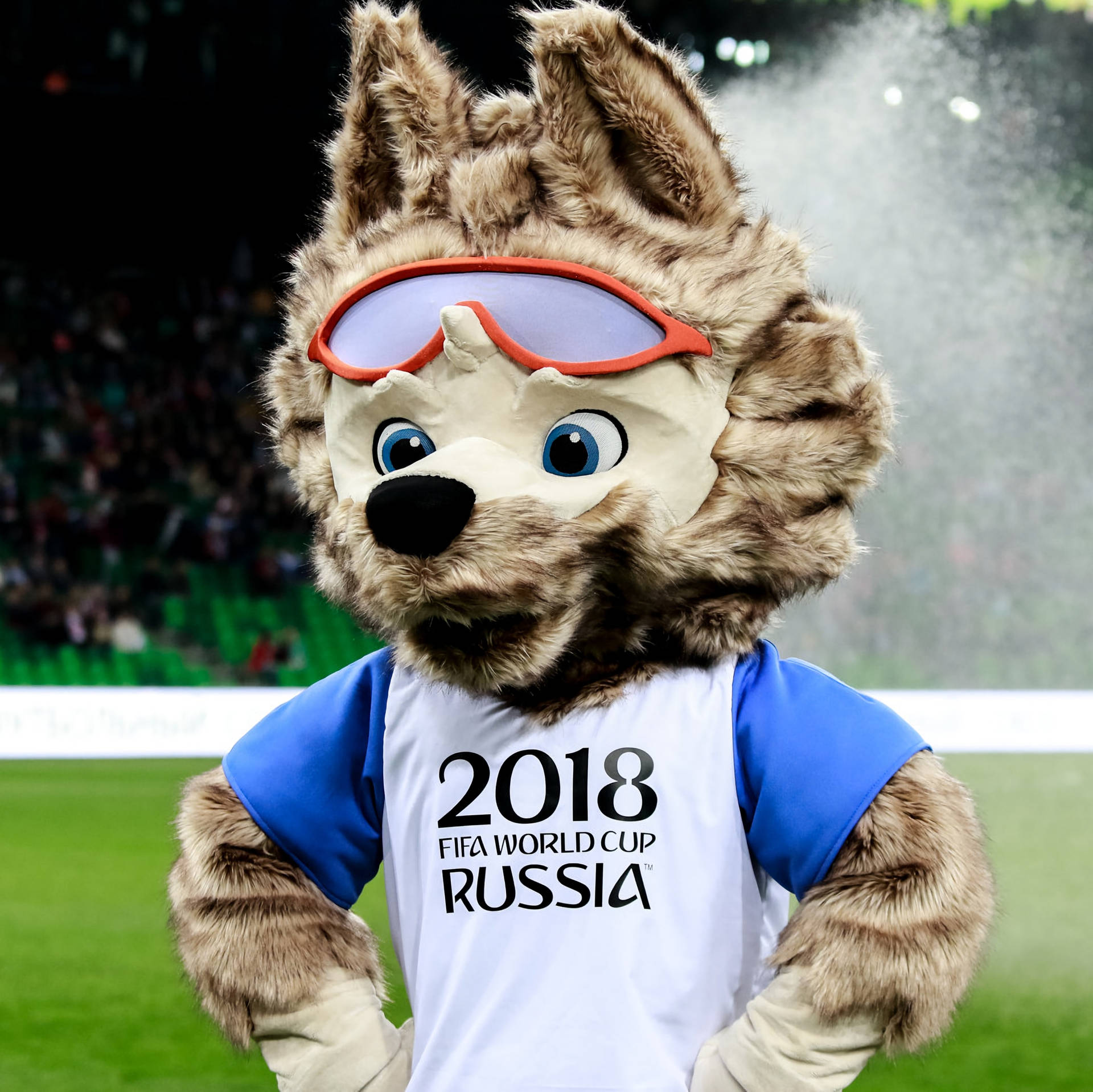 Russian World Cup Mascot 2018