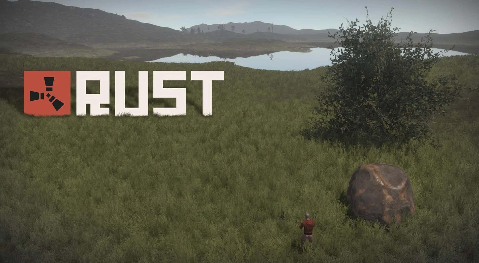 Explore The Life of Rust