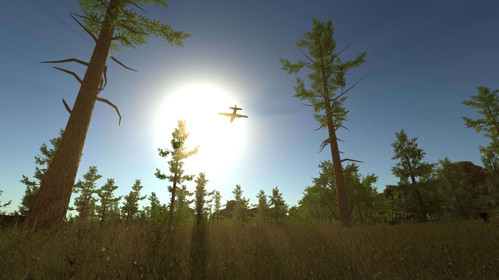 A Plane Flying Over A Field Of Trees