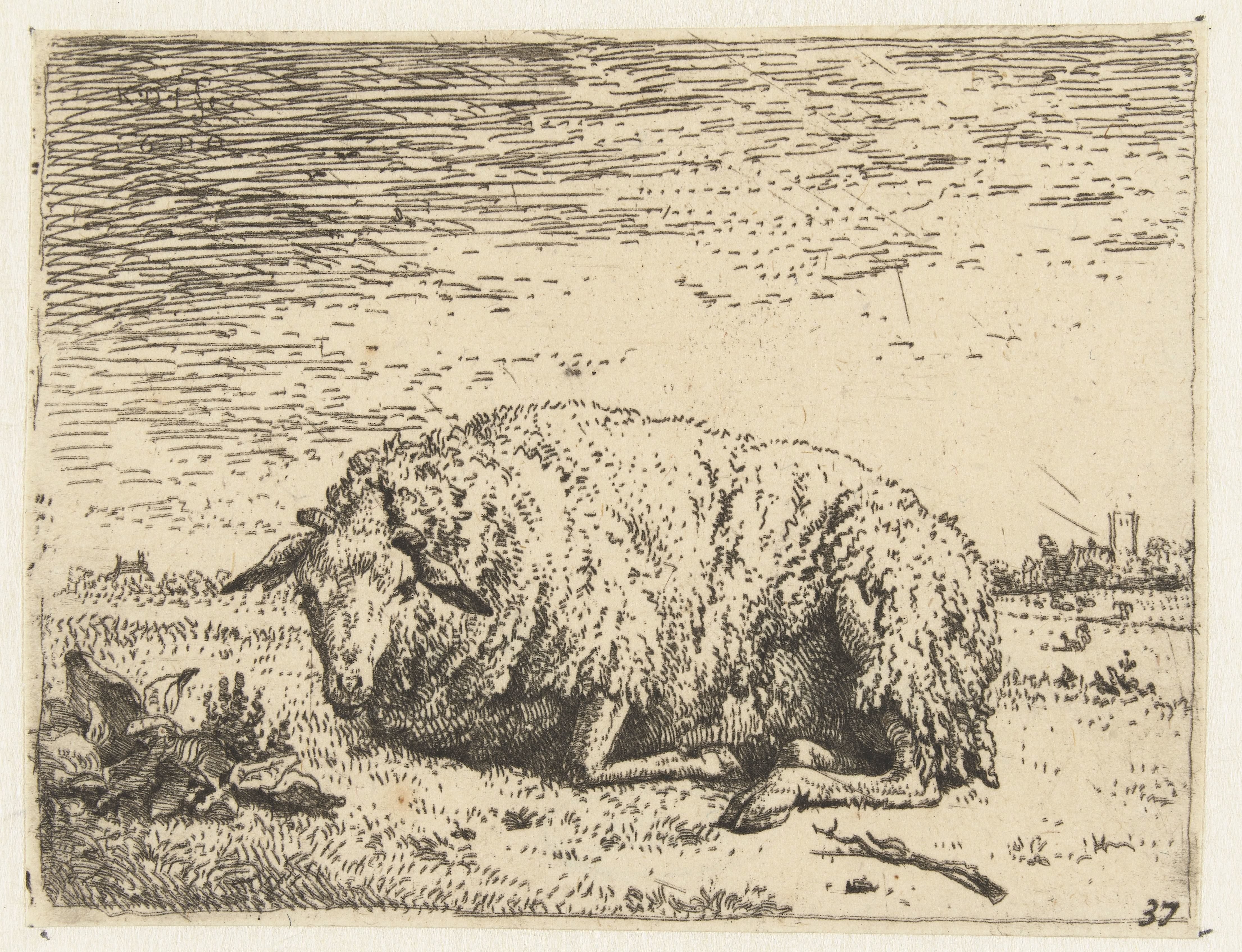 Rustend schaap Wallpaper