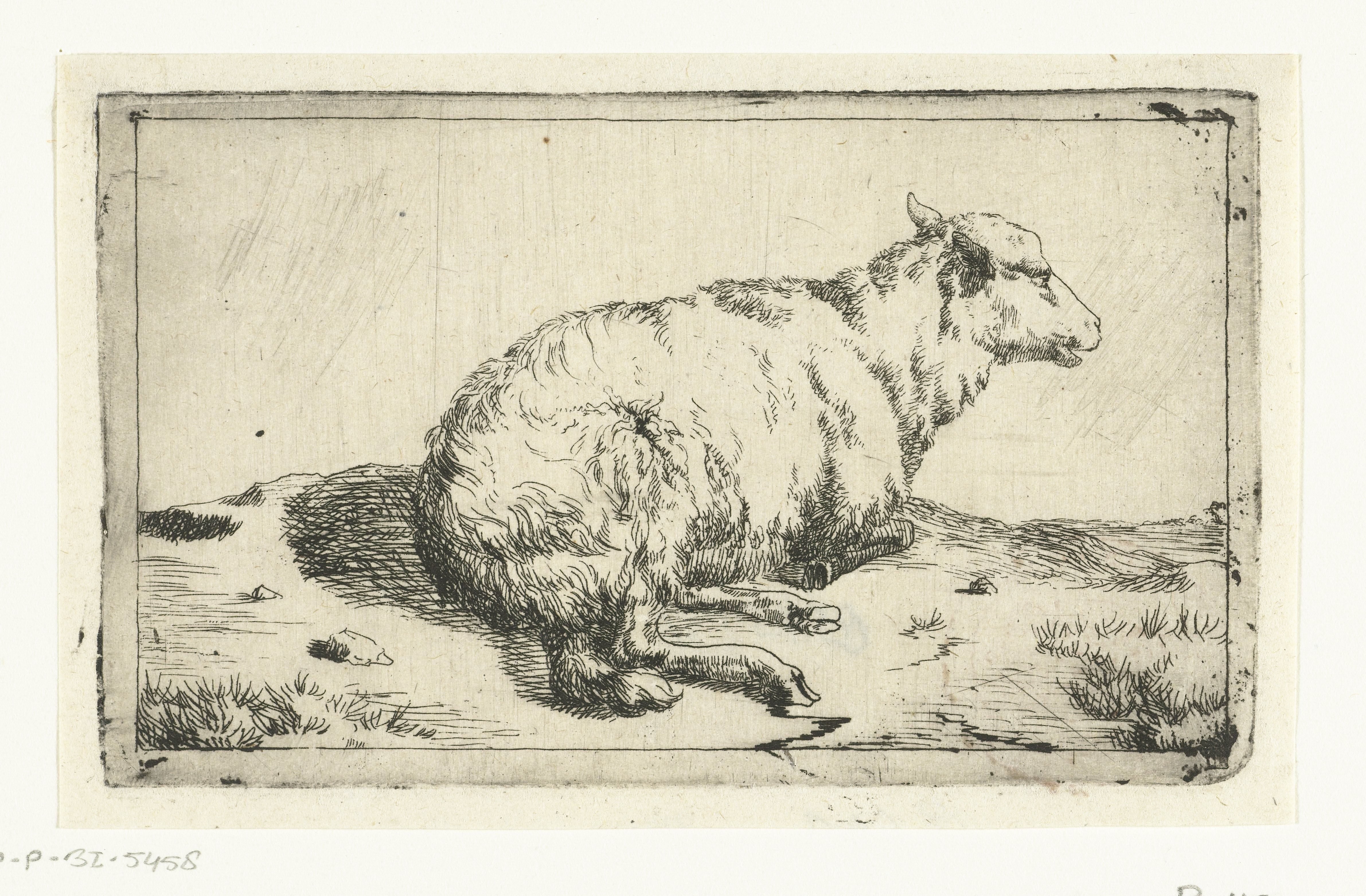 Rustend schaap Wallpaper