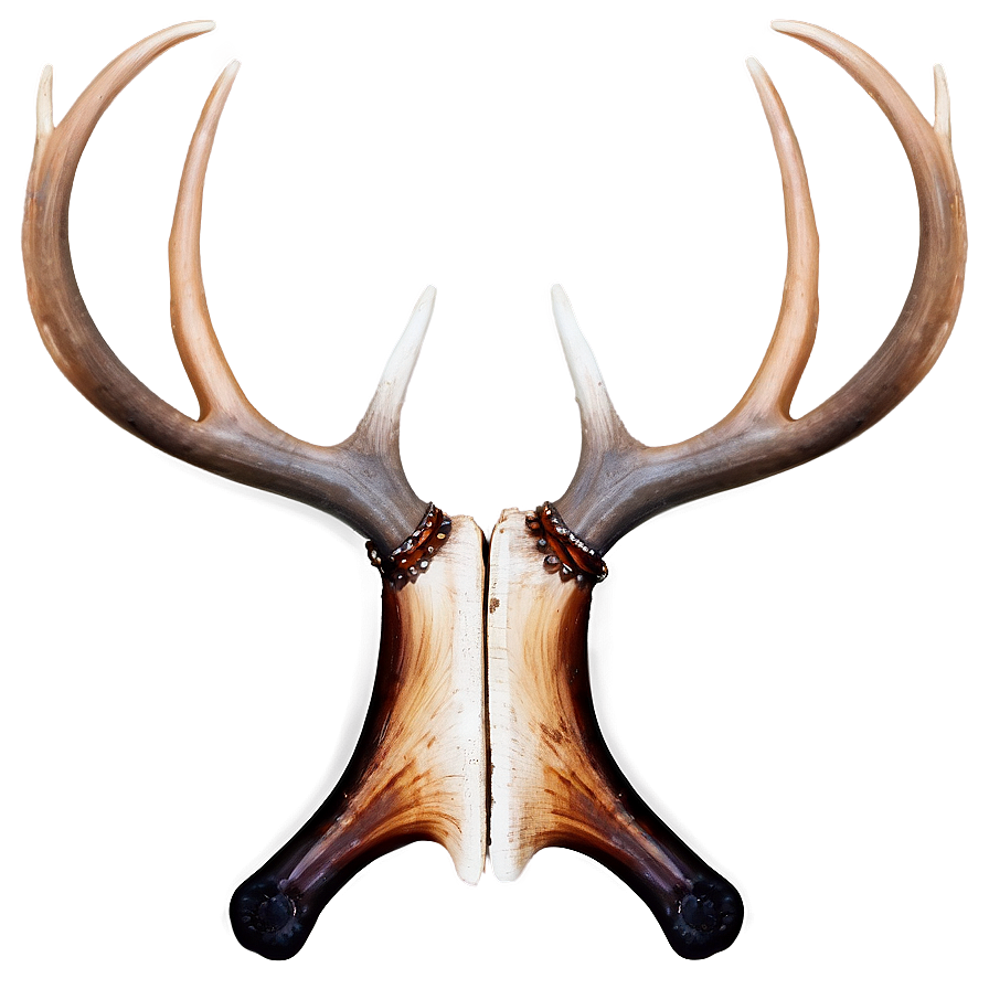 Download Rustic Antler Design Png Xmt | Wallpapers.com