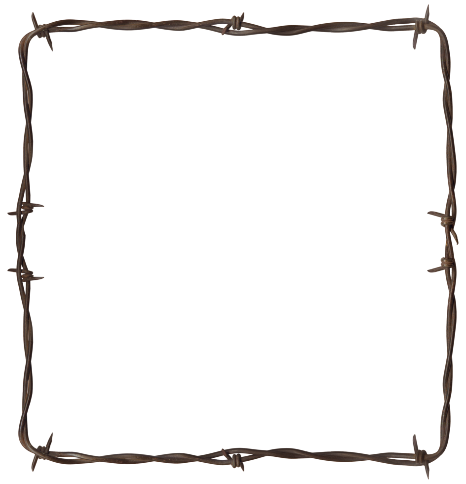 Rustic Barbwire Frame PNG