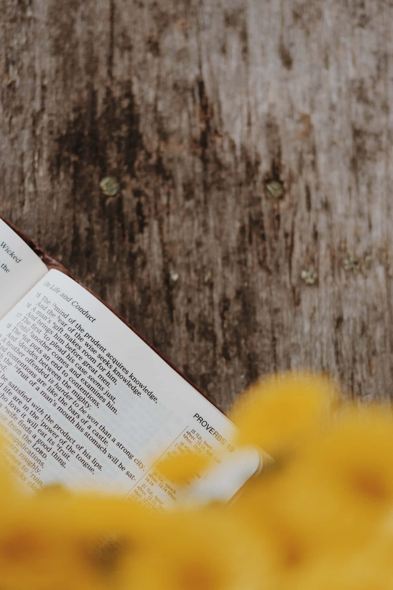 Rustic Biblewith Yellow Flowers Wallpaper