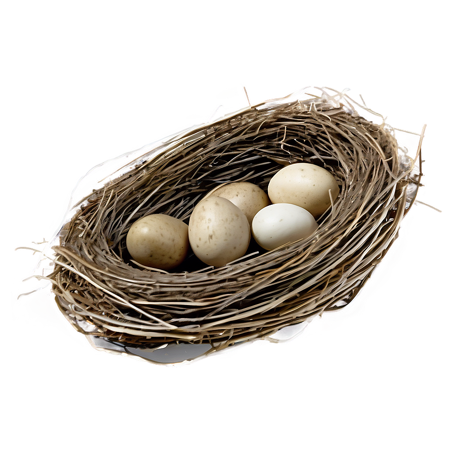 Rustic Bird Nest Png 44 PNG