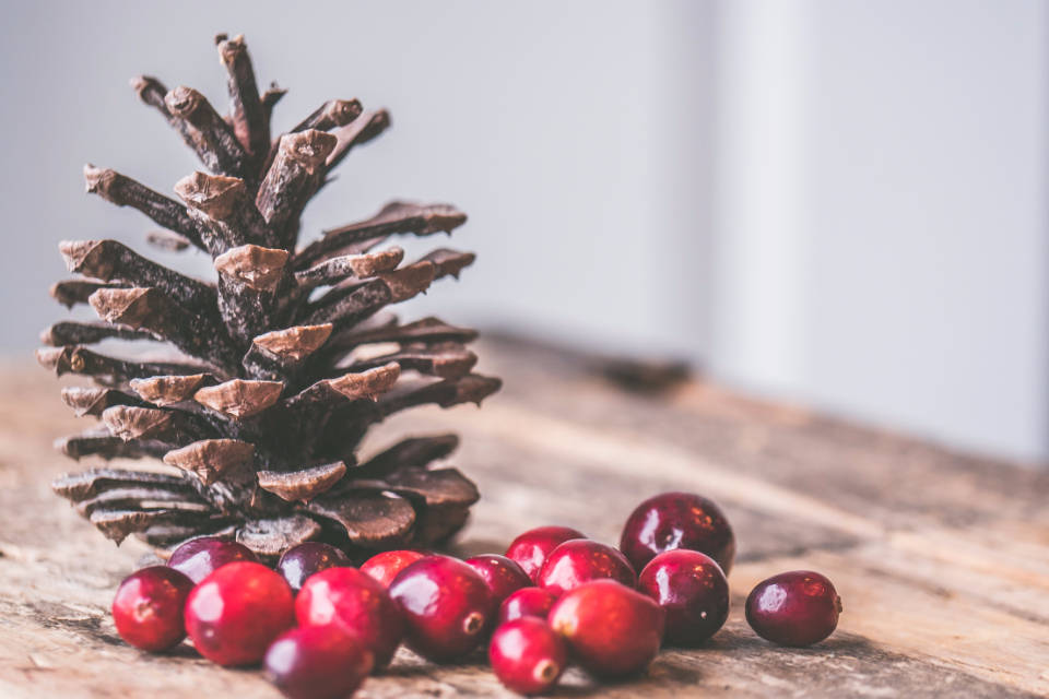 Rustic Christmas Acorn And Cranberries Wallpaper