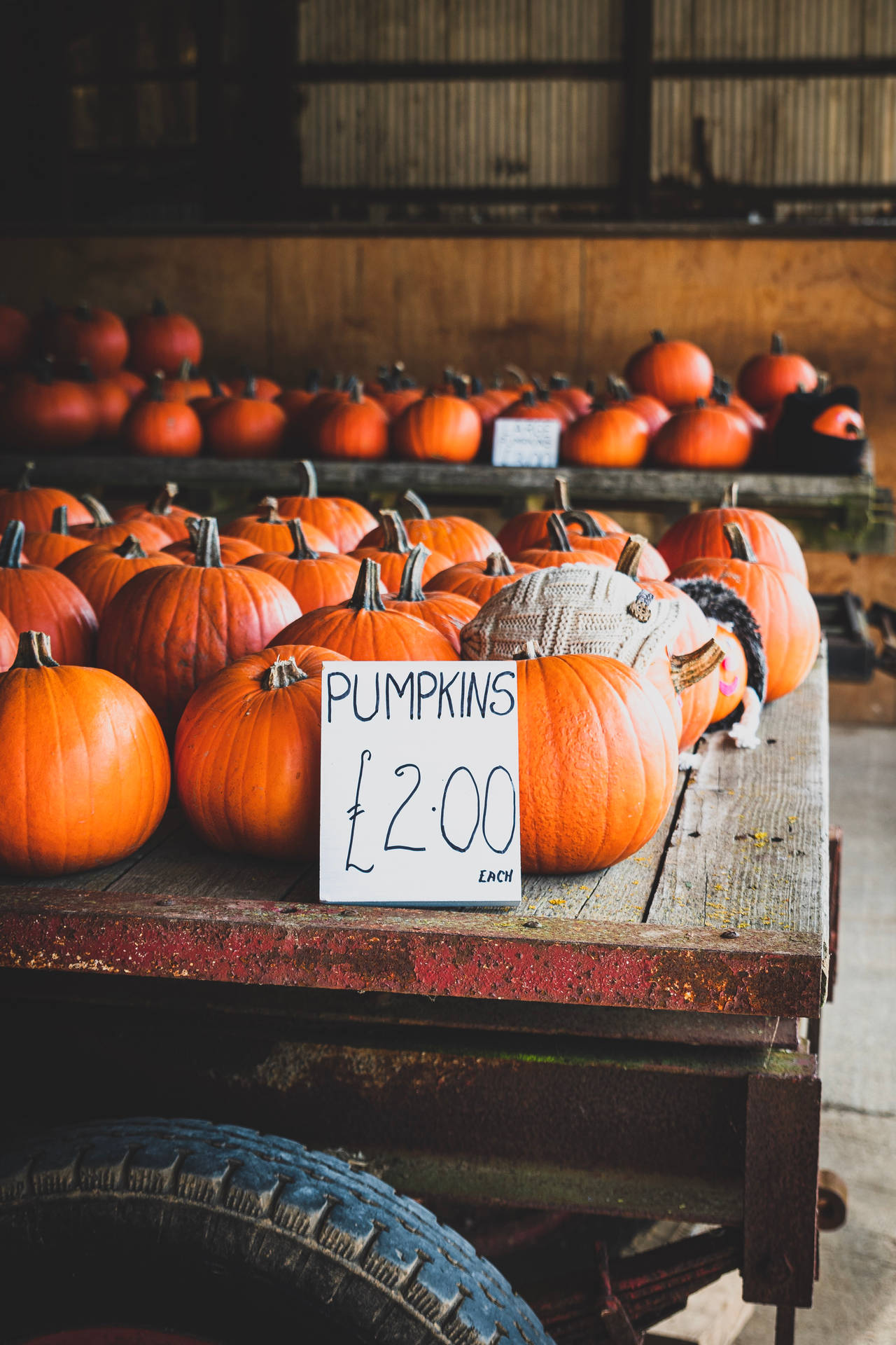 Rustic Fall Pumpkins Sold In Carts Wallpaper