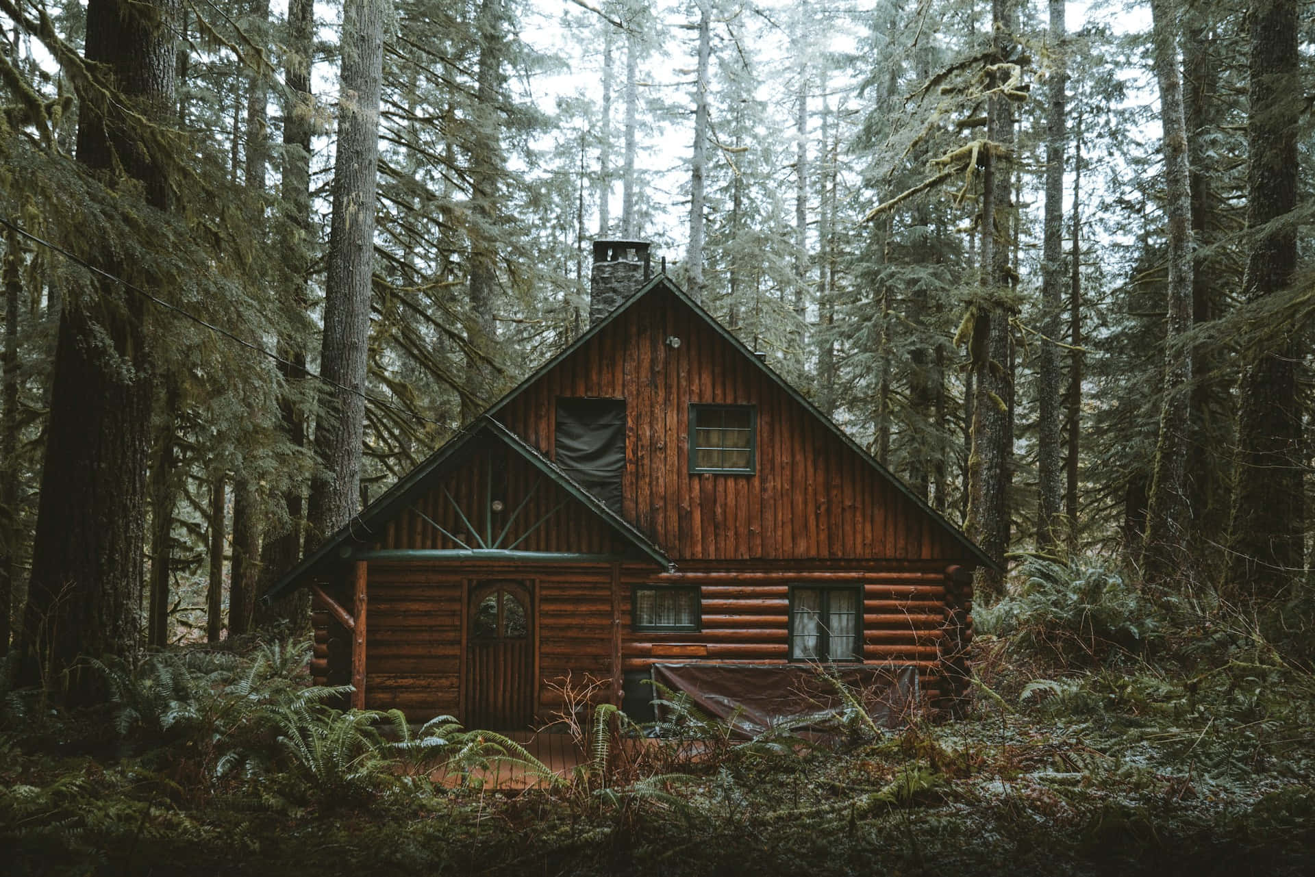 Rustic Forest Log Cabin Wallpaper