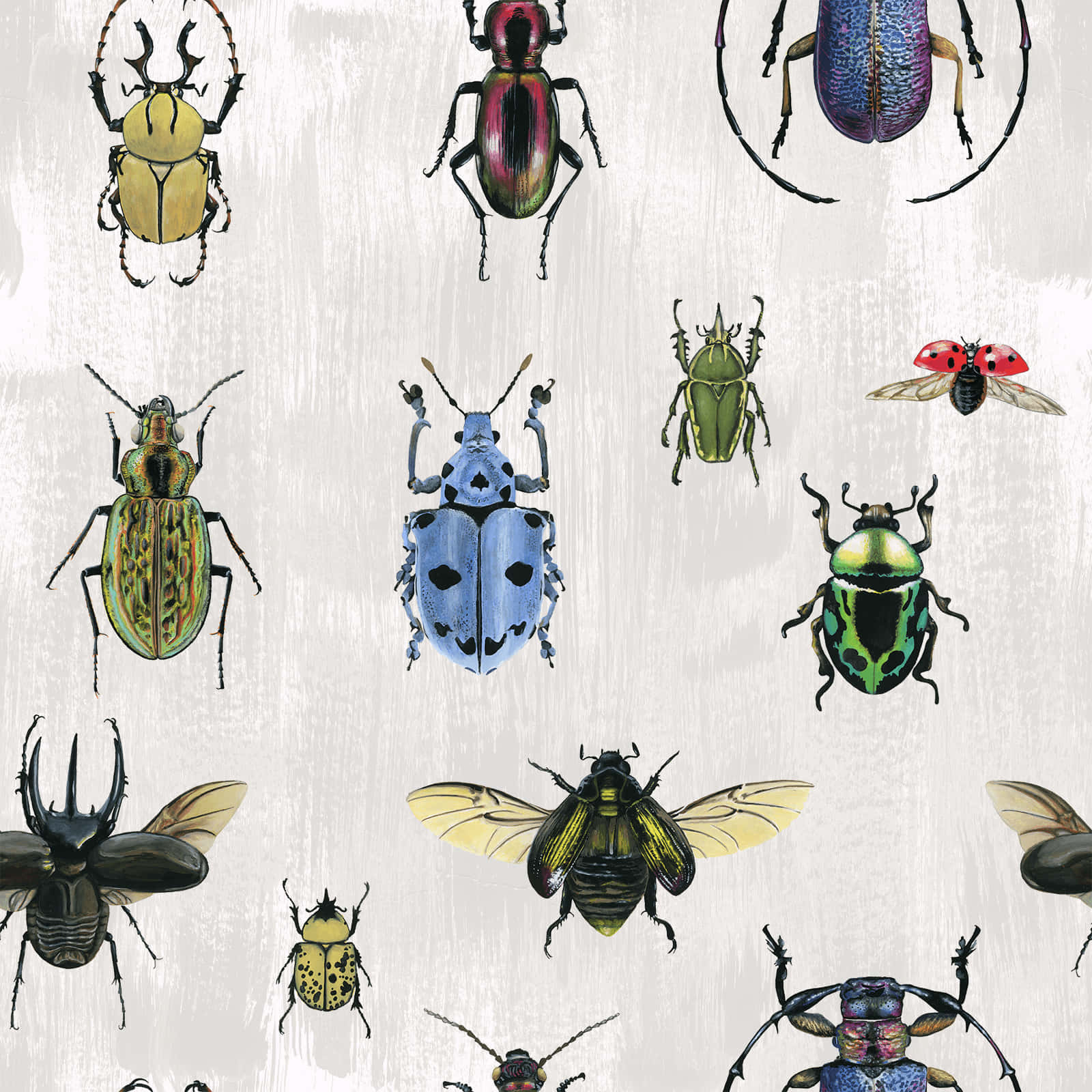 Rustic Insects Wall Decor Wallpaper