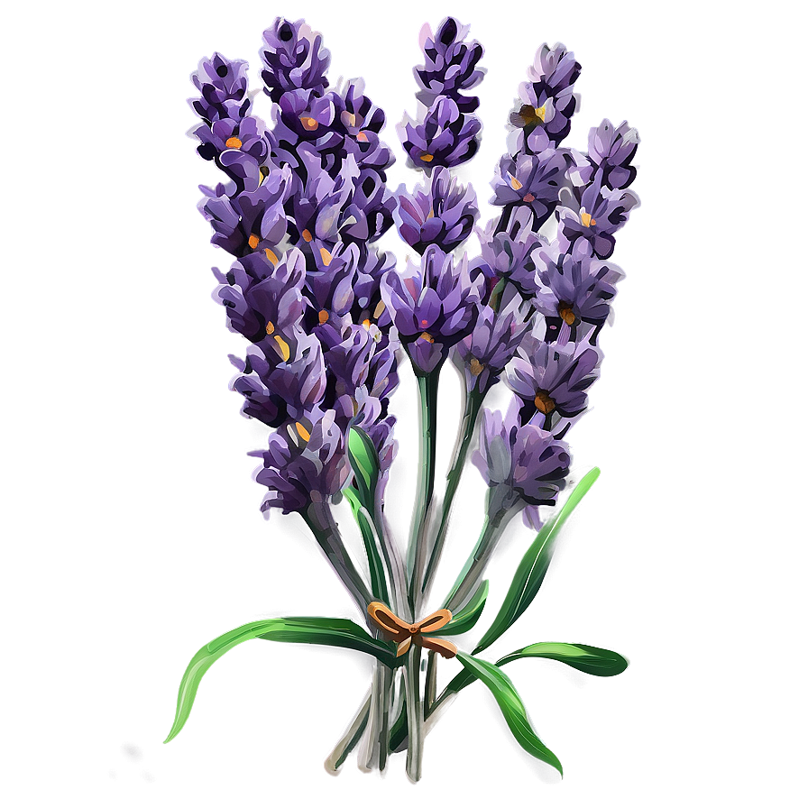 Rustic Lavender Bunch Png 06132024 PNG