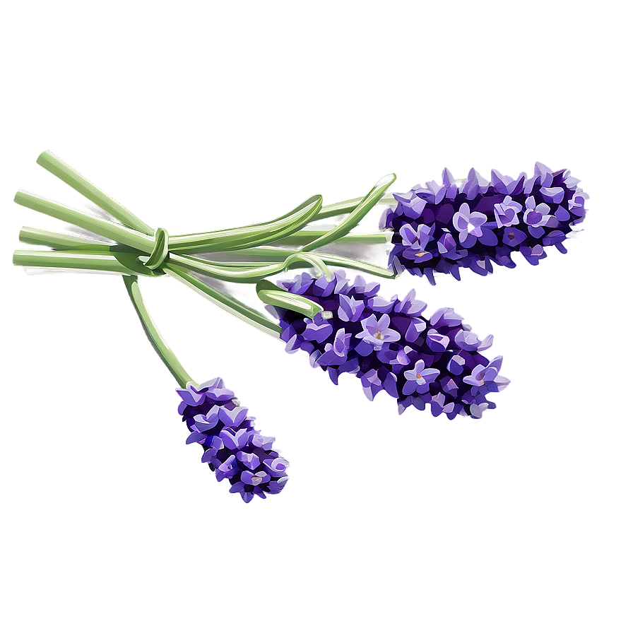 Rustic Lavender Bunch Png Gqm PNG